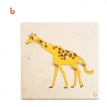 Nessuna immagine impostata 